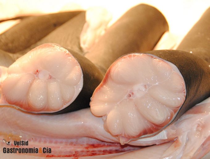 Sobrepesca en el Mediterráneo