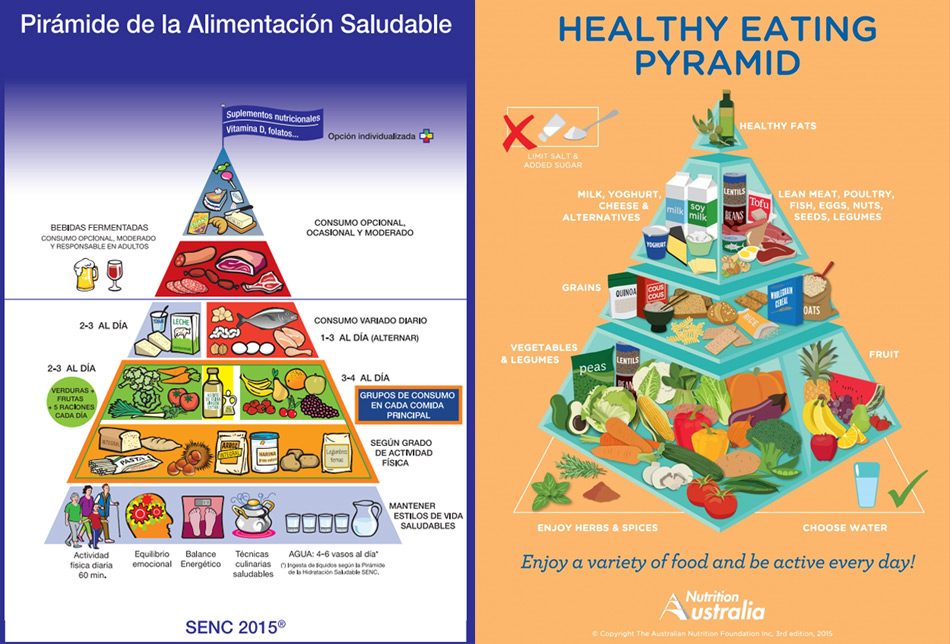La Nueva Pir mide Nutricional Sigue Teniendo Errores Gastronom a C a la-nueva-pir-mide-nutricional-sigue-teniendo-errores-gastronom-a-c-a