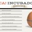 CA! Incubadora