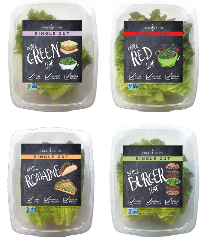 Lechuga de cuarta gama