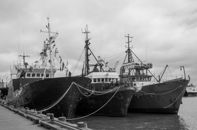 Transbordo ilegal de capturas marinas