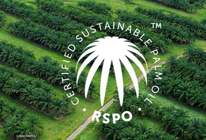 The Roundtable on Sustainable Palm Oil 