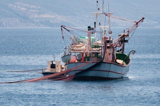 Lucgar contra la sobrepesca en el Mar Mediterráneo