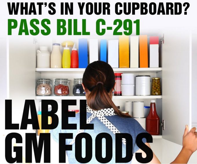 Proposición de Ley C-291 