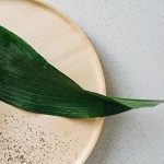 The World's 50 Best Restaurants