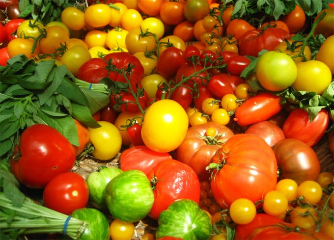 El comercio mundial de alimentos se enfrenta a diferentes vulnerabilidades en las rutas comerciales Estudio Chatham House