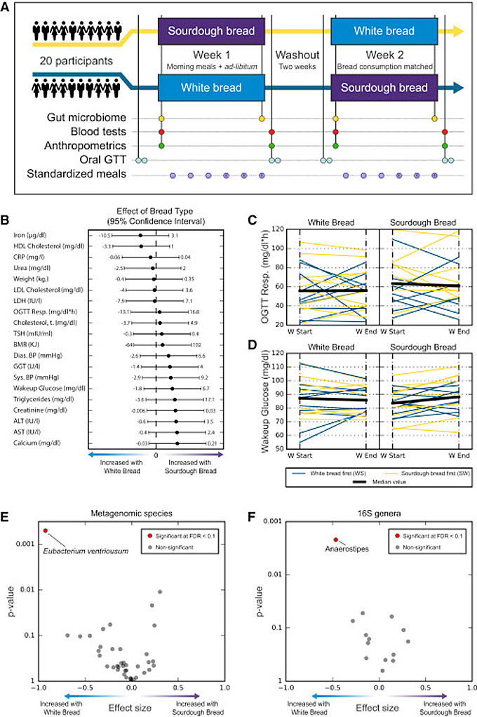 Instituto Weizmann de Ciencias de Israel