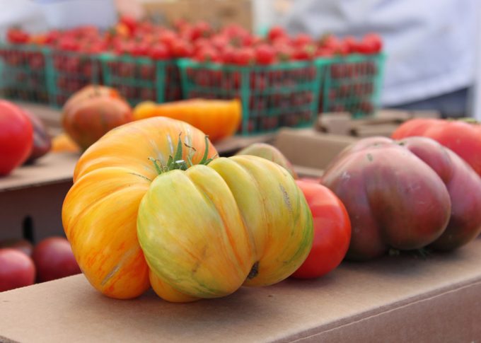Contaminantes físicos o cuerpos extraños 