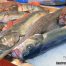 Fraude en el etiquetado del pescado