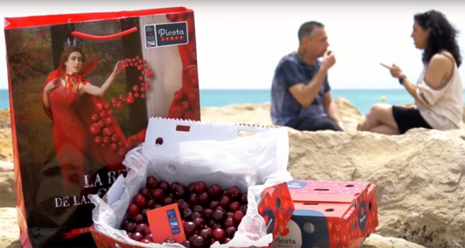 Picota del Jerte La reina de las cerezas