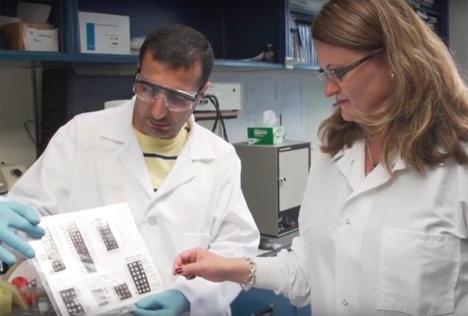 Seguridad alimentaria