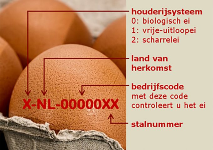 Contaminación de los huevos por fipronil