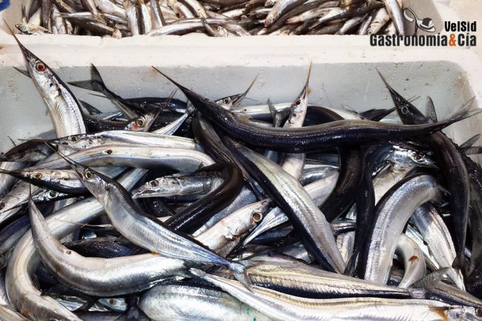 Microplásticos marinos