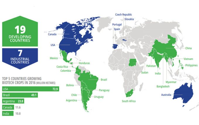 Servicio Internacional para la Adquisición de Aplicaciones Agro-biotecnológicas