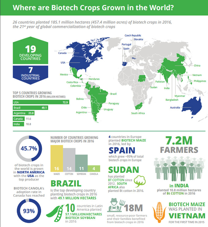 Cultivo de alimentos modificados genéticamente