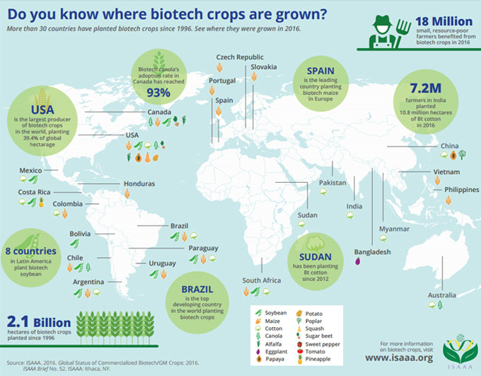 Productores de alimentos transgénicos