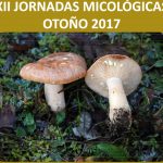 Jornadas Gastronómicas