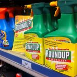 Renovación permiso glifosato