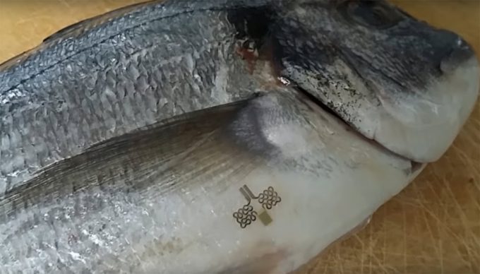 Sensores para el control de la temperatura de los alimentos