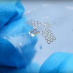 Seguridad alimentaria