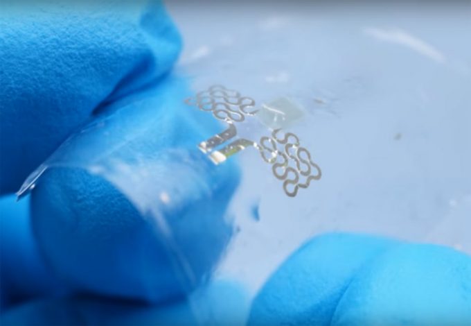 Seguridad alimentaria