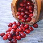 Cranberries