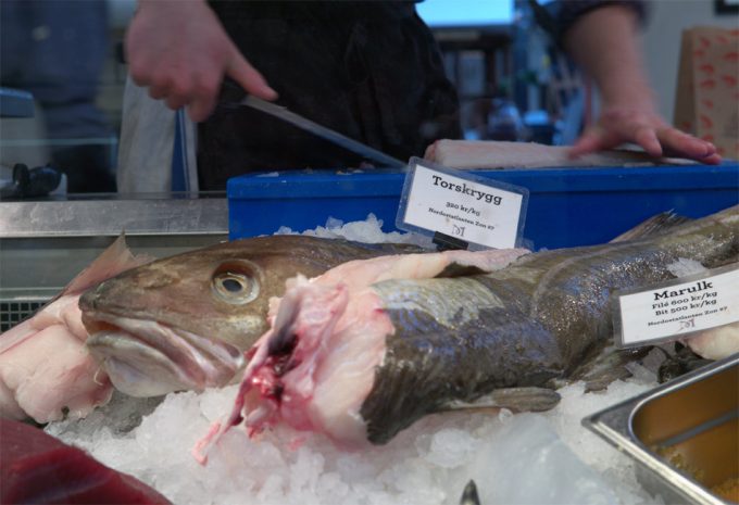 Bacalao descongelado