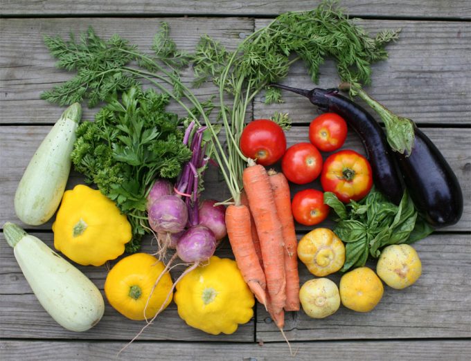 Agricultura ecológica