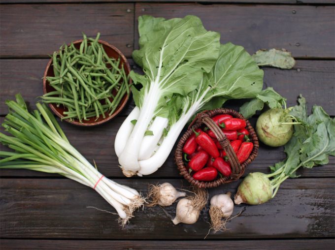 Nuevo reglamento de los alimentos ecológicos en la Unión Europea Alimentos ecológicos en la UE