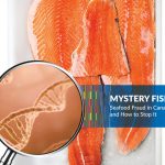 Informe de Oceana sobre el fraude pesquero