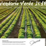 Recetas de Rodrigo de la Calle