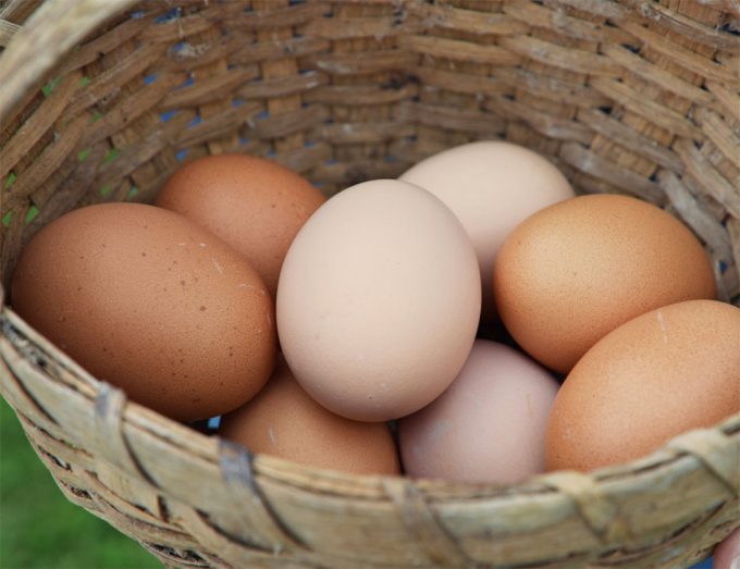 Agencia de Medicamentos y Alimentación de Estados Unidos