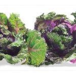 Kalettes