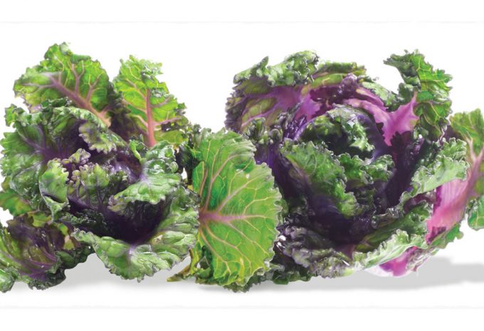 Las Kalettes se cultivan en España Kalettes