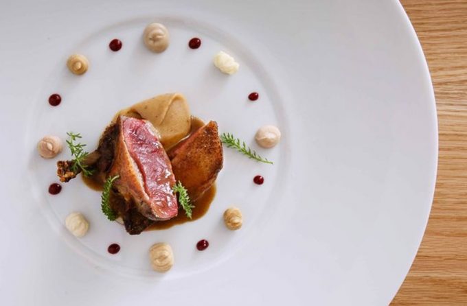 Pichón asado guarnecido con las notas de cata de un gran reserva Francis Paniego