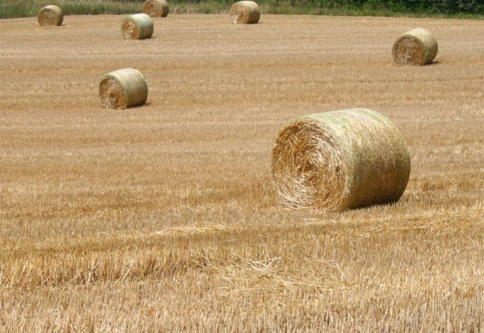 Soberanía agraria en Francia