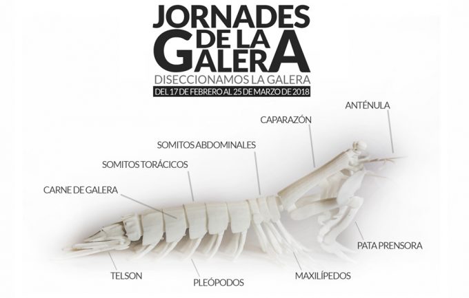 Jornadas de la Galera de L’Antic Molí 2018