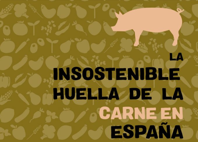 Producción de carne en España