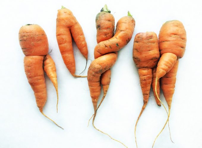Zanahorias imperfectas