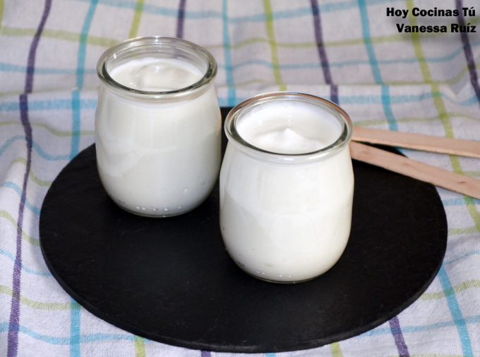 Como hacer yogur en casa con fermentos naturales 