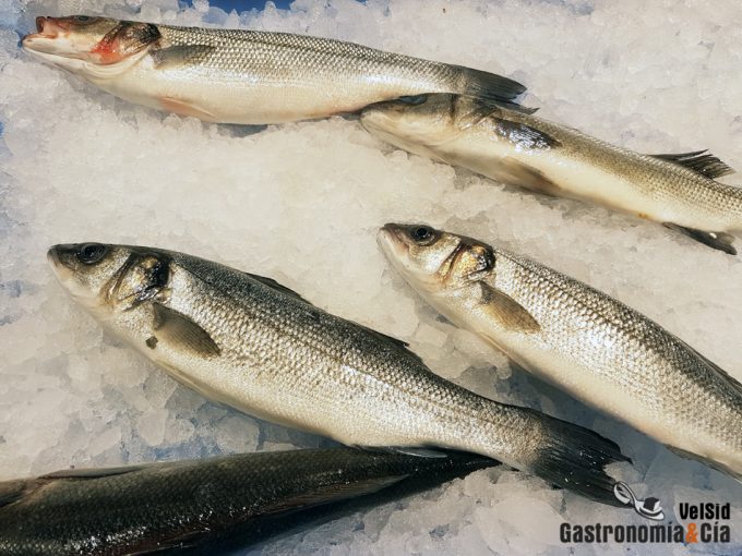 Pesca de arrastre, estudio y resultados