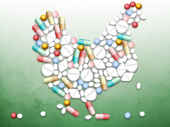 Uso de antibióticos con fines no terapéuticos
