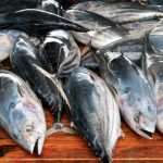 Trabajo esclavo en la industria pesquera de Taiwán