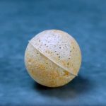 Receta de Albert Adrià