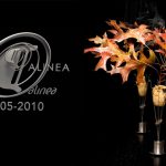 Nuevo menú gastronómico en Next Restaurant