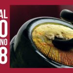 Festival Vino Somontano