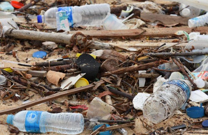 Contaminación por plásticos en lagos, rios, torrentes y otros sistemas fluviales Microplásticos en los peces de rio