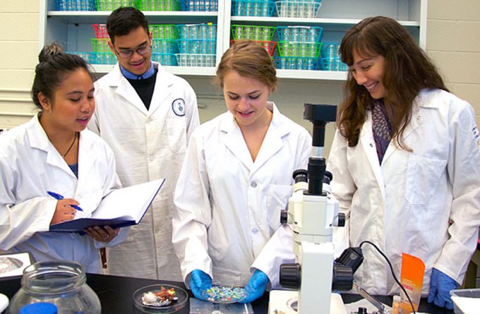 Contaminación por microplásticos en lagos y otros afluentes fluviales