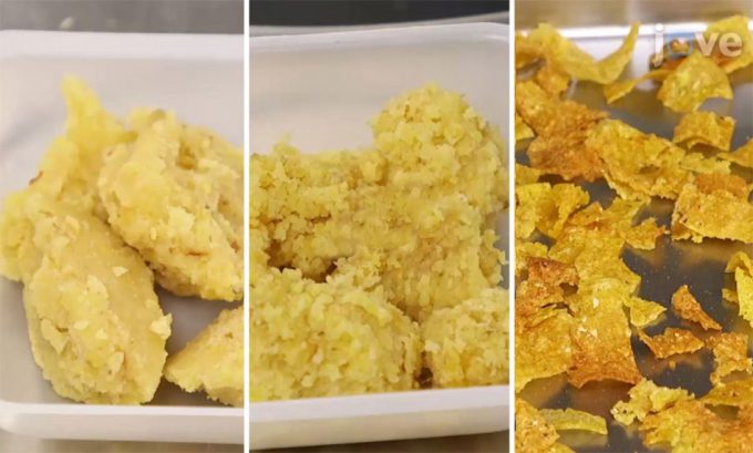 Elaboración de los copos de maíz para el desayuno Loss compuestos fenólicos y los tocoferoles desaparecen durante el proceso de elaboración de los copos de maíz