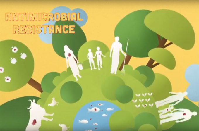 Frenar la resistencia de las bacterias a los antibióticos